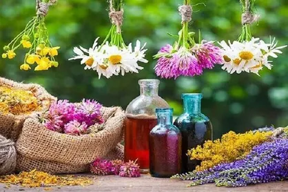 تصویب ۲۲۹۰ نام برای فرآورده&zwnj;های طبیعی، سنتی و مکمل