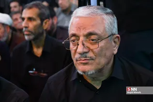 دبب