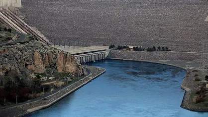 کم&zwnj;کارها در ماجرای &laquo;ایلیسو&raquo;