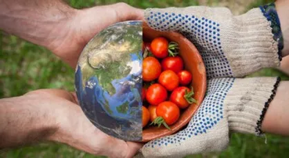 واشینگتن پست: جنگ ایران در حال نابودی کشاورزان آسیا و تهدیدی برای امنیت غذایی جهان است