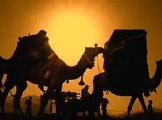 ۳ ابزار شیطانی دشمنان برای مقابله با حرکت امام حسین (ع)