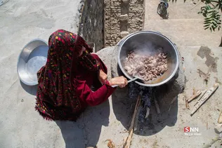 دبب