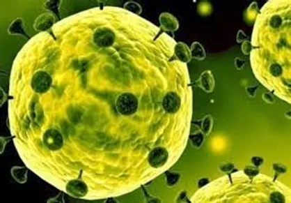 بیانیه جمعی از اساتید بسیجی دانشگاه&zwnj;های تهران در مورد شیوع بیماری کرونا