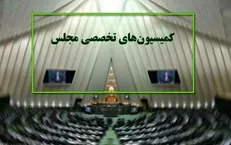 ۷ عضو کابینه به بهارستان می‌روند/ بررسی نحوه تخصیص ارز به کالا‌ها در کمیسیون اصل ۹۰