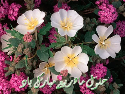 مهمترین اعمال روز اول ماه ربیع الاول