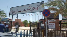 مقالات علمی دانشگاه علوم پزشکی بم جزو یک درصد مقالات پراستناد دنیا قرار گرفت