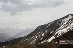 پرسون