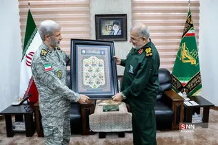 دبب