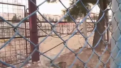 مولدسازی دارایی&zwnj;های دولت؛ پر سروصدا، اما کم اثر