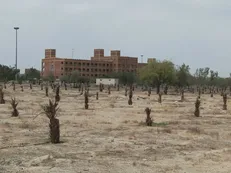 فاز نخست مرکز تحقیقات کشاورزى در دانشگاه آزاد میناب اجرا شد
