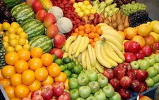 روسیه واردات میوه را افزایش داد