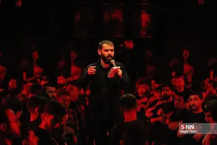 دبب