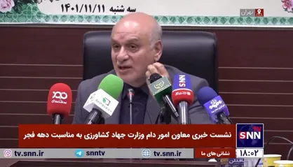 واردات گوشت گرم با قیمت کیلویی 180 هزار تومان