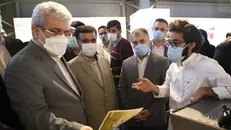 ستاری: نوآوری شرکت‌های دانش‌بنیان و خلاق در خدمت حفظ و ارتقای محیط‌ زیست قرار می‌گیرد