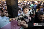 استقبال از شهید