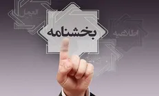 بانک‌ها هم می‌توانند ارز مسافرتی و دانشجویی عرضه کنند