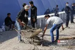 72 دیگ