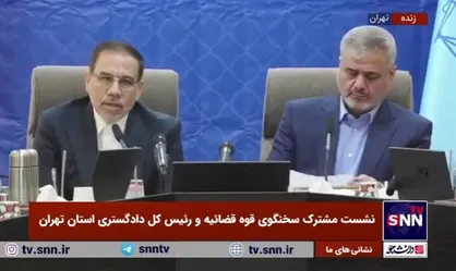 سخنگوی قوه قضائیه: با کاهش ۱۸ درصدی سرقت&zwnj;ها به ویژه سرقت&zwnj;های خشن در کشور رو&zwnj;به&zwnj;رو هستیم