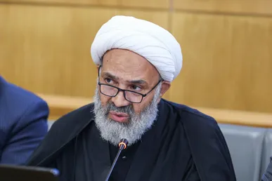 پژمانفر رئیس کمیسیون اصل ۹۰ مجلس ماند