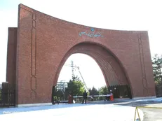 ۲۱ عضو هیات علمی دانشگاه تربیت مدرس در میان پژوهشگران ایرانی پراستناد یک درصد برتر دنیا