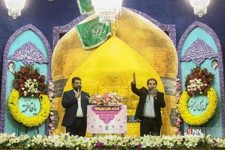 دبب
