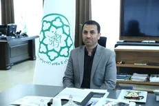 طبق اساس نامه جدید مشکل عرضه گوجه فرنگی رفع می‌شود