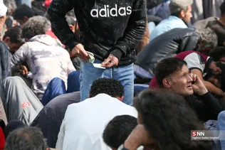 جدید