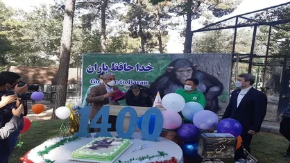 شامپانزه پارک ارم طی مراسمی بدرقه کنیا شد