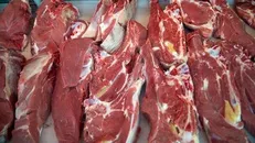 چرا گوشت قرمز گران شد؟