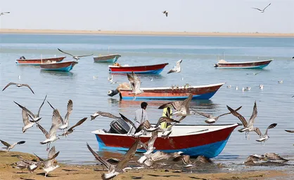 تامین بیش&zwnj;از ۷۰ درصد تُن ماهیان کشور در سواحل سیستان و بلوچستان