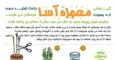 اینفوگرافیک/ گیاهان معجزه‌آسا