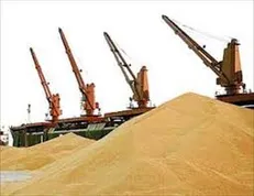 شرایط خاص واردات گندم