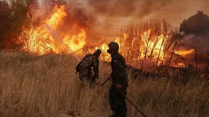 مهار آتش&zwnj;سوزی وسیع در دامنه&zwnj;های آبیدر سنندج
