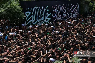 وحید1