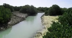 عوارض آلایندگی واحدهای صنعتی در بوشهر، مستقیم خرج بهبود محیط زیست شهروندان می‌شود.