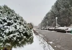 تشدید بارش برف و باران در کشور