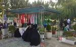 محمدرضا احمدی