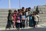 جهادی