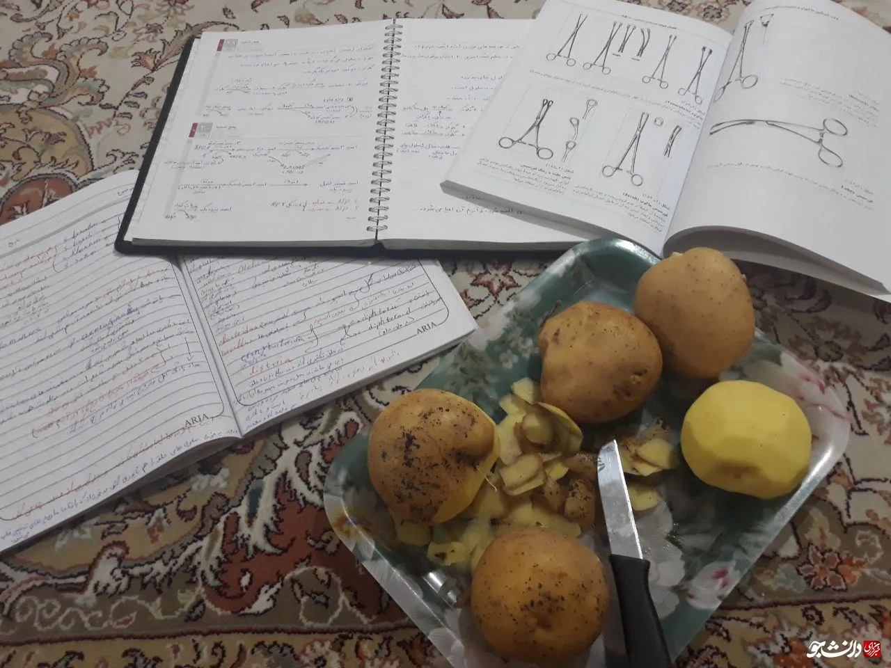متاهلی و شب امتحان