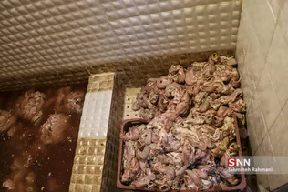 کشف مرغ و گوشت فاسد جهت توزیع در ساندویچی ها