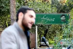 علیرضا صفری