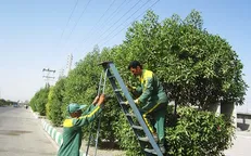 چشم‌انتظاری کارگران فضای سبز یاسوج برای دریافت مطالبات / وقتی مجبوری وسایل خانه‌ات را بفروشی