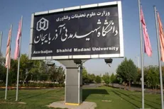 ارائه نرم‌افزار محاسباتی در صنعت توزیع برق از سوی عضو هیئت علمی دانشگاه شهید مدنی