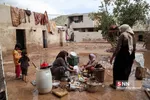 سیل5