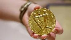 جایزه صلح نوبل ۲۰۲۴ به سازمان بازماندگان بمباران اتمی ژاپن تعلق گرفت