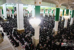 دبب