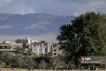 تخریب باغات