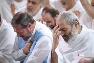 دبب