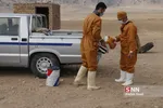 واکسن ذام