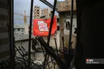 دانشجو